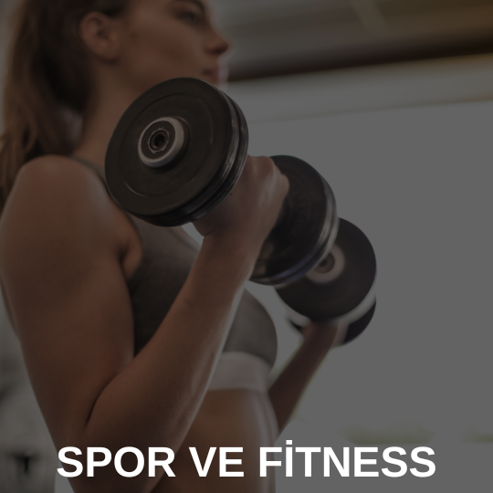 spor-fitness-web-site